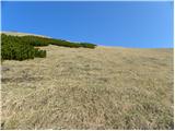 Tegoška planina - Pungartska gora